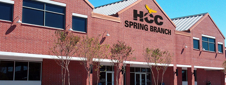 Spring Branch Payments cover image