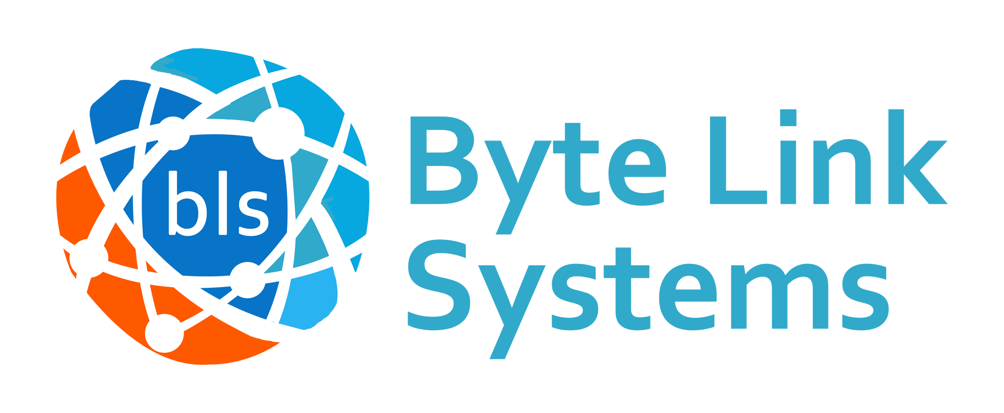 Byte Link Systems